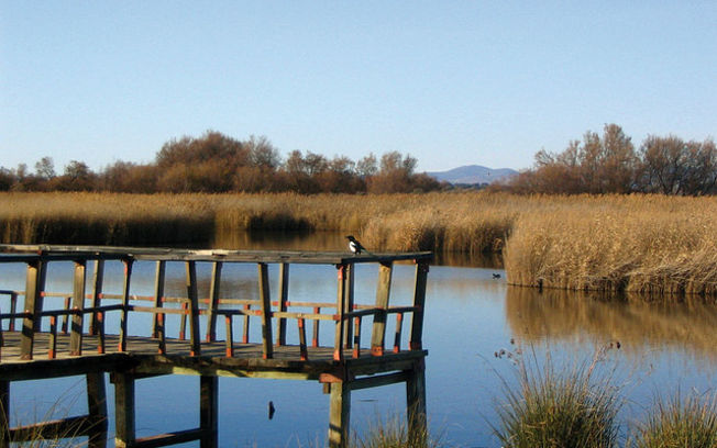 Parque Nacional de las Tablas de Daimiel.